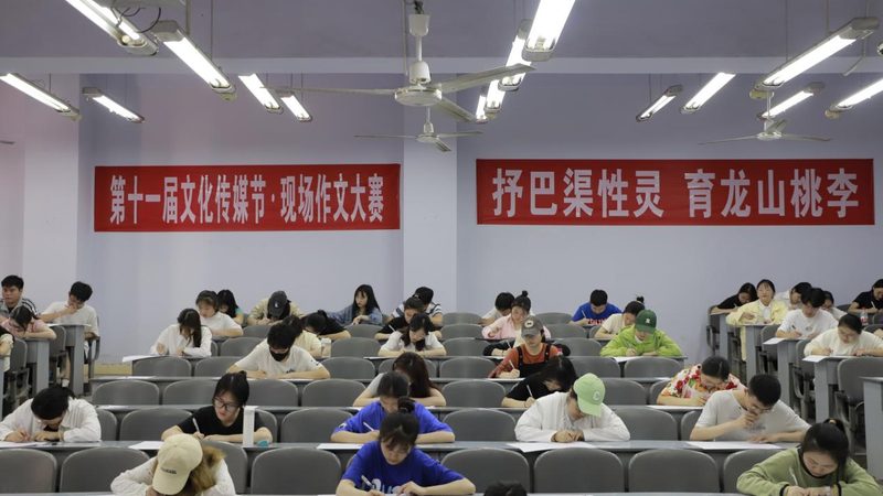 一分钟mg动画制作，价格几何？揭秘成本构成与选择之道**